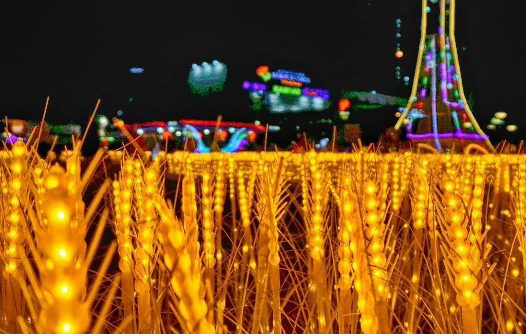 Gold Field